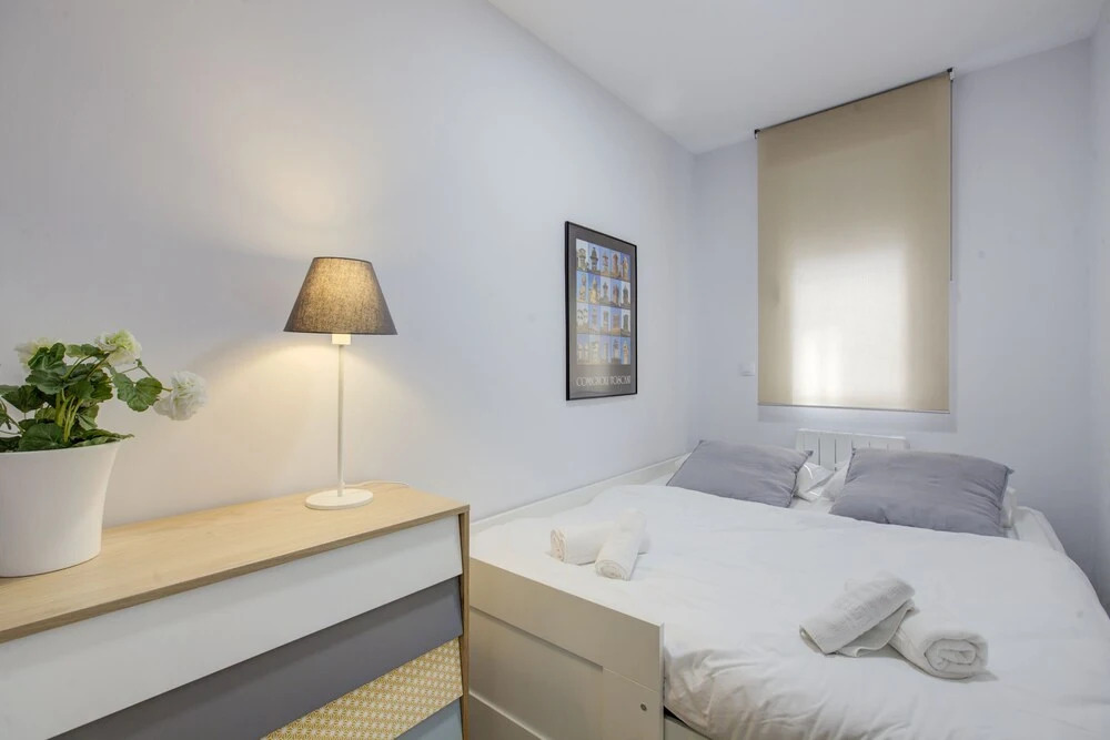 Cozy Apartment in Conde Duque