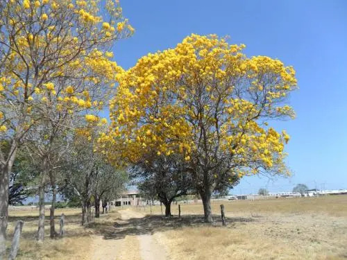 Hotel Nuevo Tio