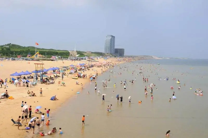 7 Days Premiuma Laizhou Government