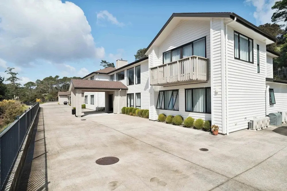 Alpaca Manor Auckland