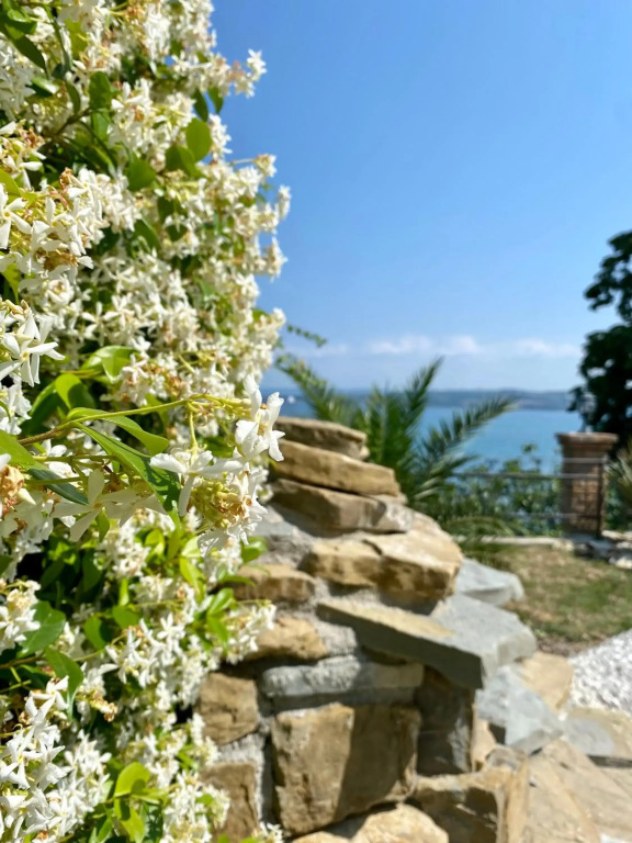 SunVilla