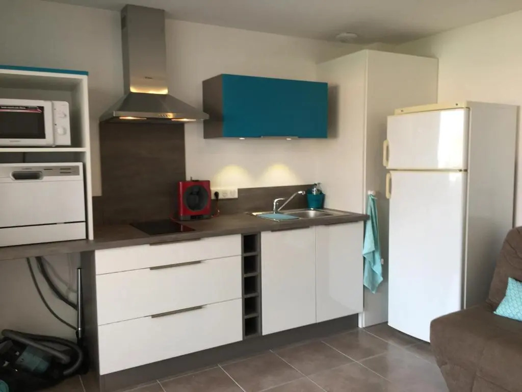 Appartement Saintes-Maries-de-la-Mer, 2 pièces, 4 personnes - FR-1-475-5
