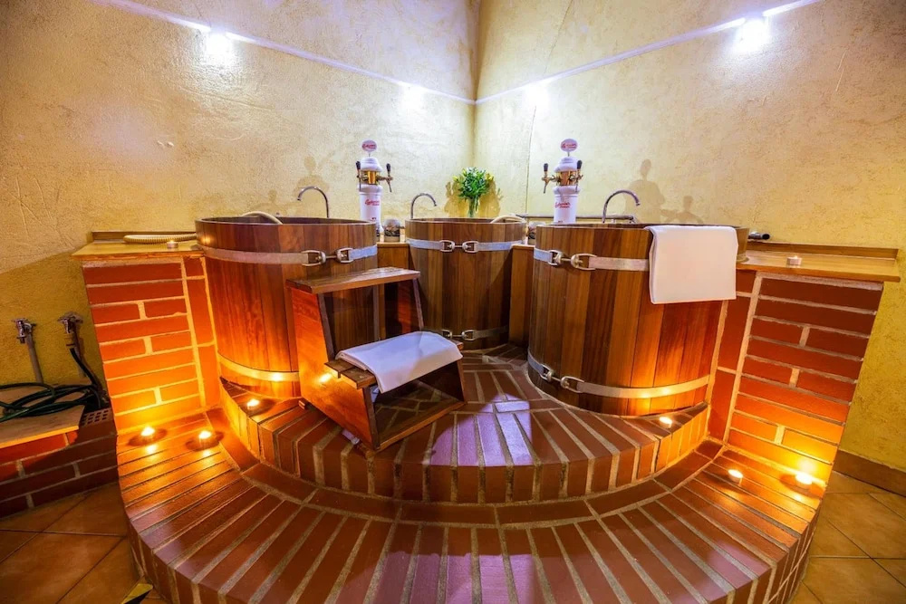 LH Hotel Dvořák Tábor Congress & Wellness