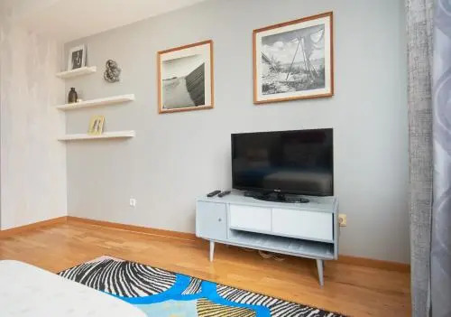 Spacious Central Apartments