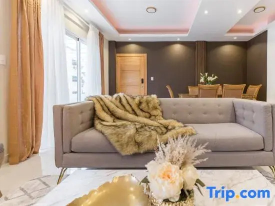 Upscale 3 Br Apartment For Family Or Friends Stay