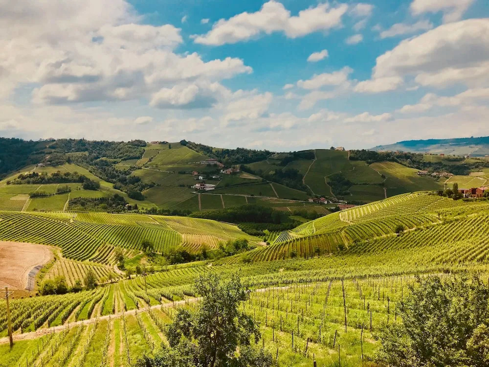 Villa Langhe