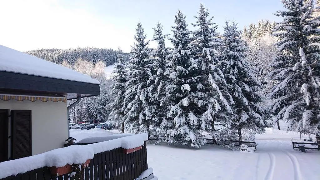 Am Kaltenbach - Spital Am Semmering, Stuhleck