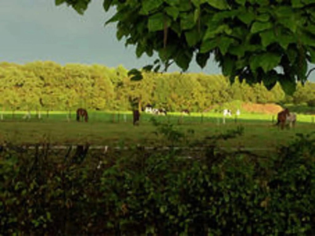 Lovely Design Countryside Holiday Home