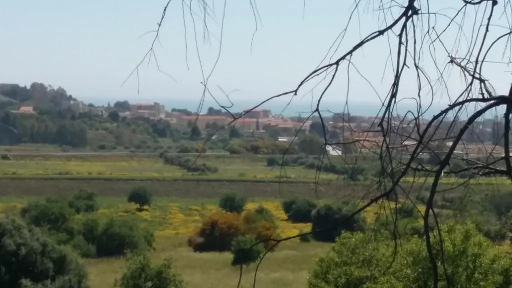 Vento di Tramontana