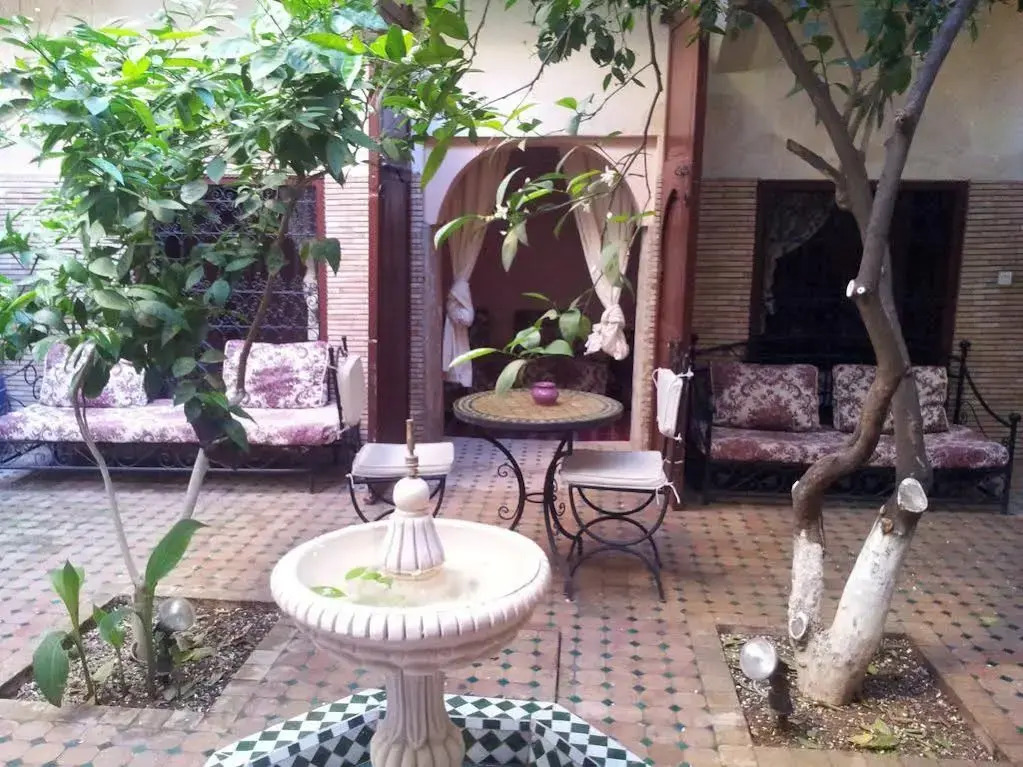 Riad el Adraoui