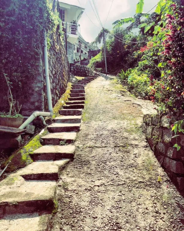 An An House - Homestay Da Lat