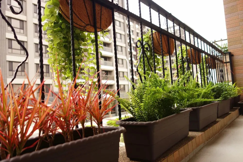 Douzi Stay near Metro - Hostel