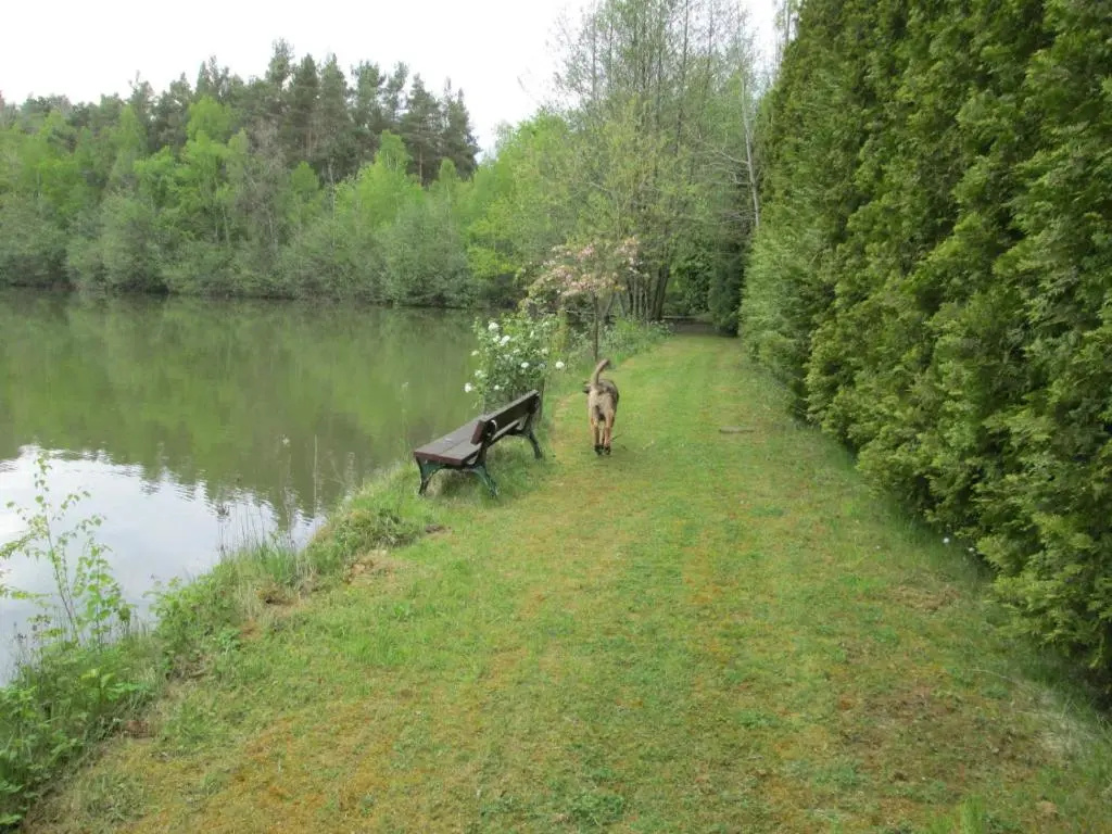 le bateau sur lac privé de 2 hectares poissonneux au milieu des bois