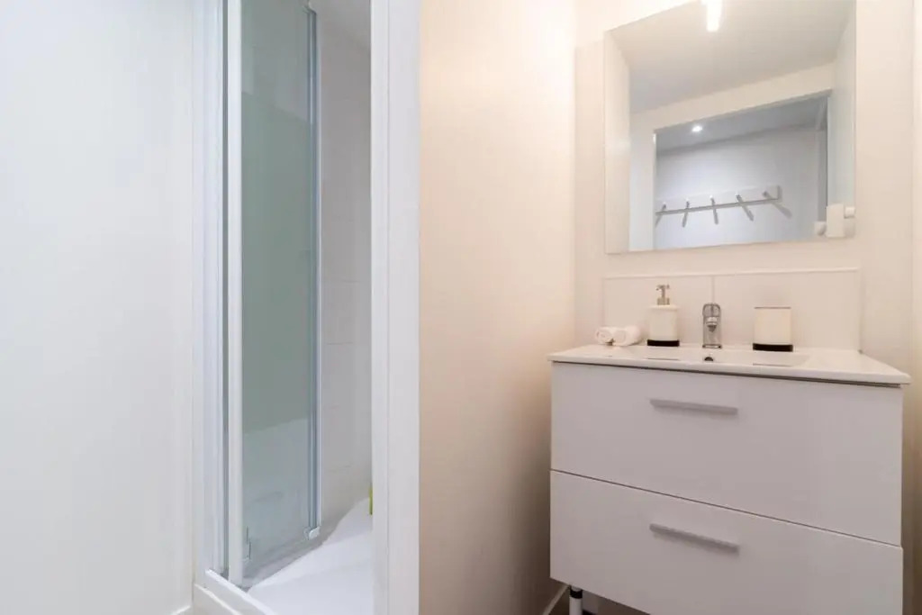 Lille Centre - Beautiful bright apartment 6pax 3BR