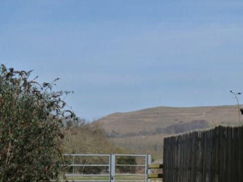 The Willows