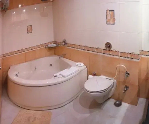 Hotel Landmark Shimla