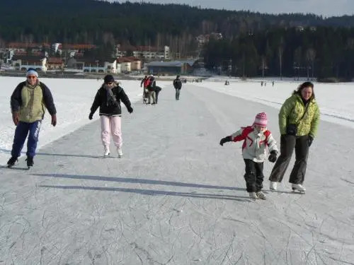 Myši V Botě Lipno