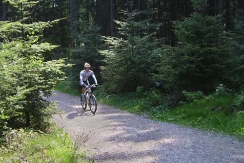 Gasthof Krone