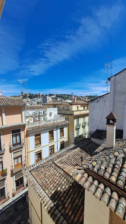 Nest Flats Plaza del Carmen
