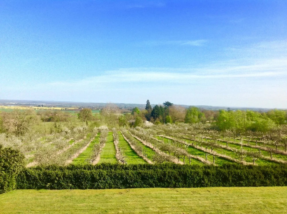 Shakespeares View