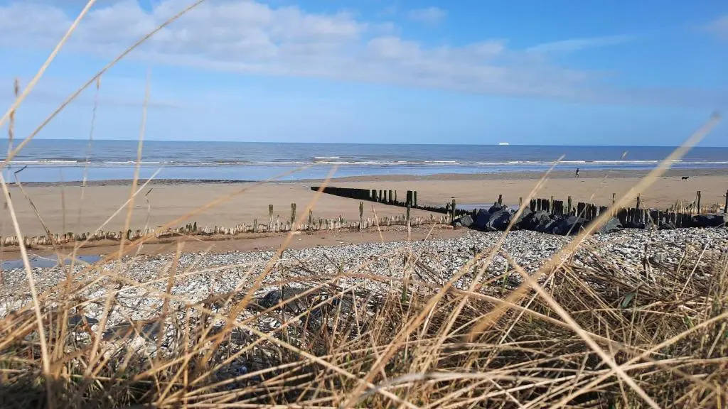 Gite galets et bois flottés proche mer gold beach meublé de tourisme 4 étoiles