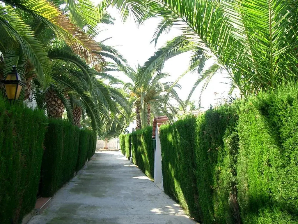 Denia El Palmar 183