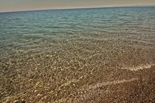 Assos Club Beyaz