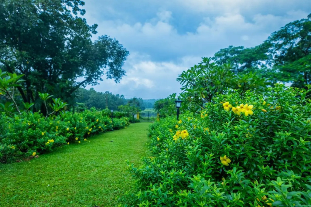 Mansao Curtorim- CGH Earth SAHA