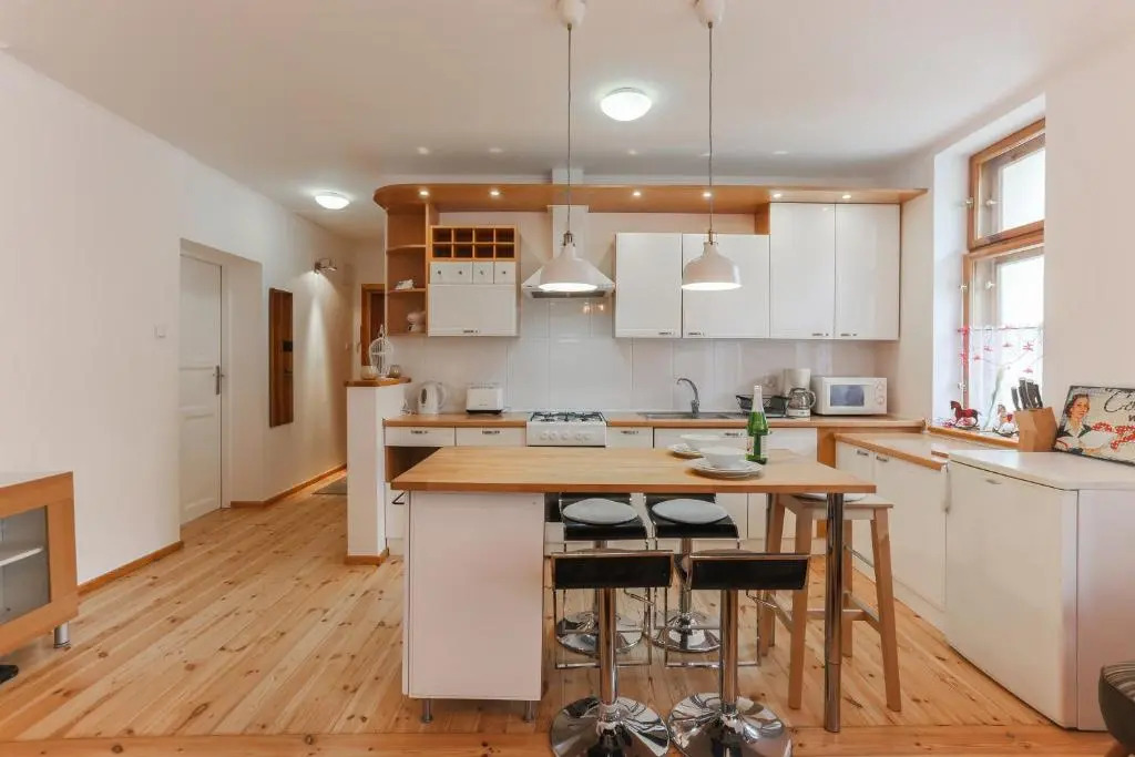 Spacious Sunny Apartment in Oldtown