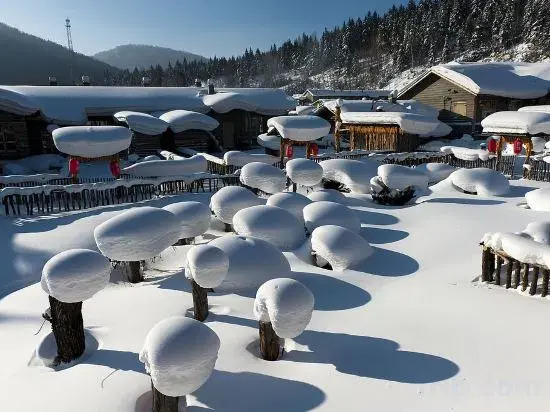 Wuchang Snow Valley Jiaxin Inn