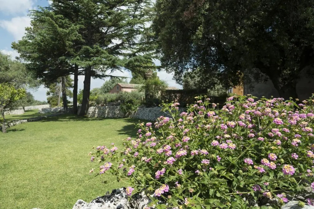 Agriturismo Borgo degli ulivi