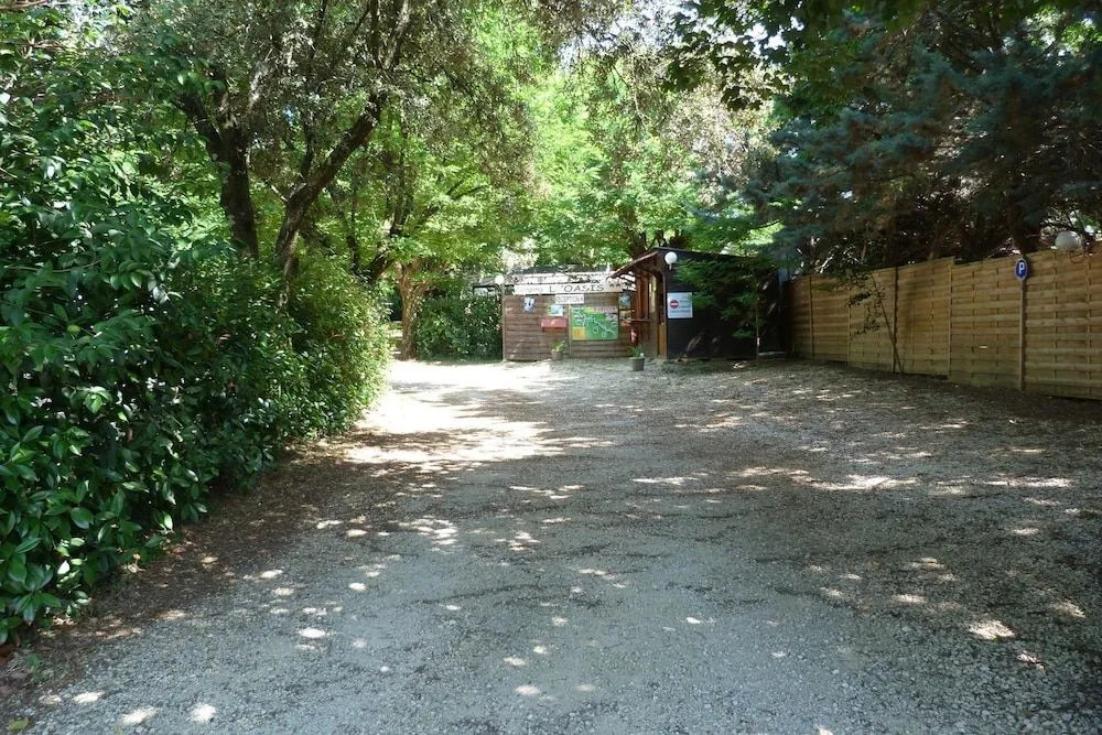 Camping LOasis