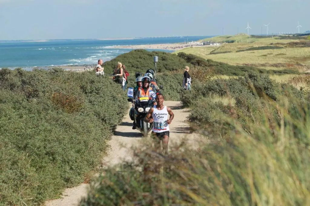 Boszicht aan de Kust 2