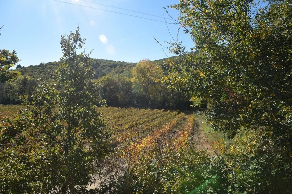 Studio in Blauzac, With Enclosed Garden and Wifi - 35 km From the Beac