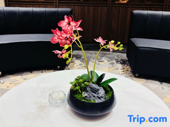 Kaisha International Hotel