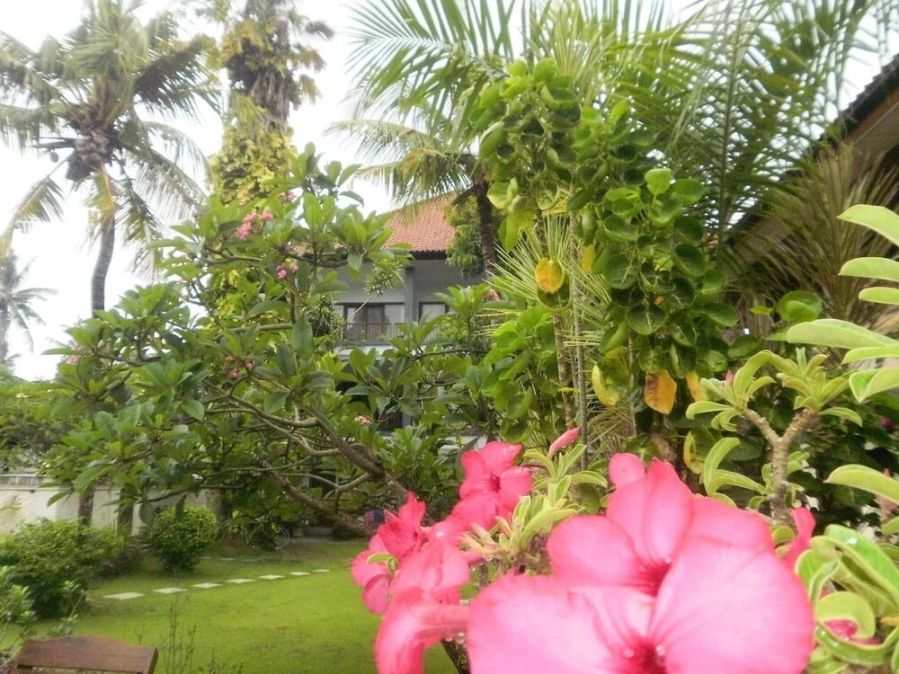 Studio in Kota Denpasar, with Pool Access, Furnished Terrace And Wifi - 300 M From the Beach
