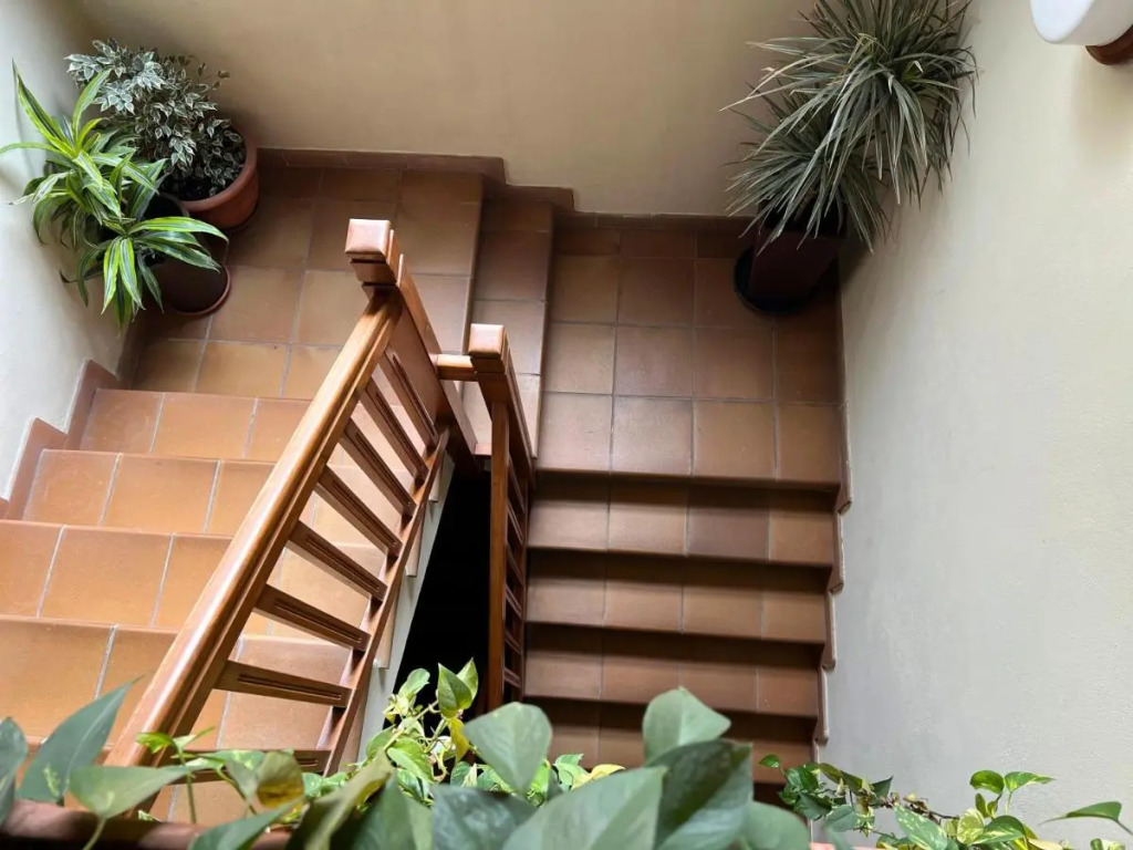Hotel Joan Canejan