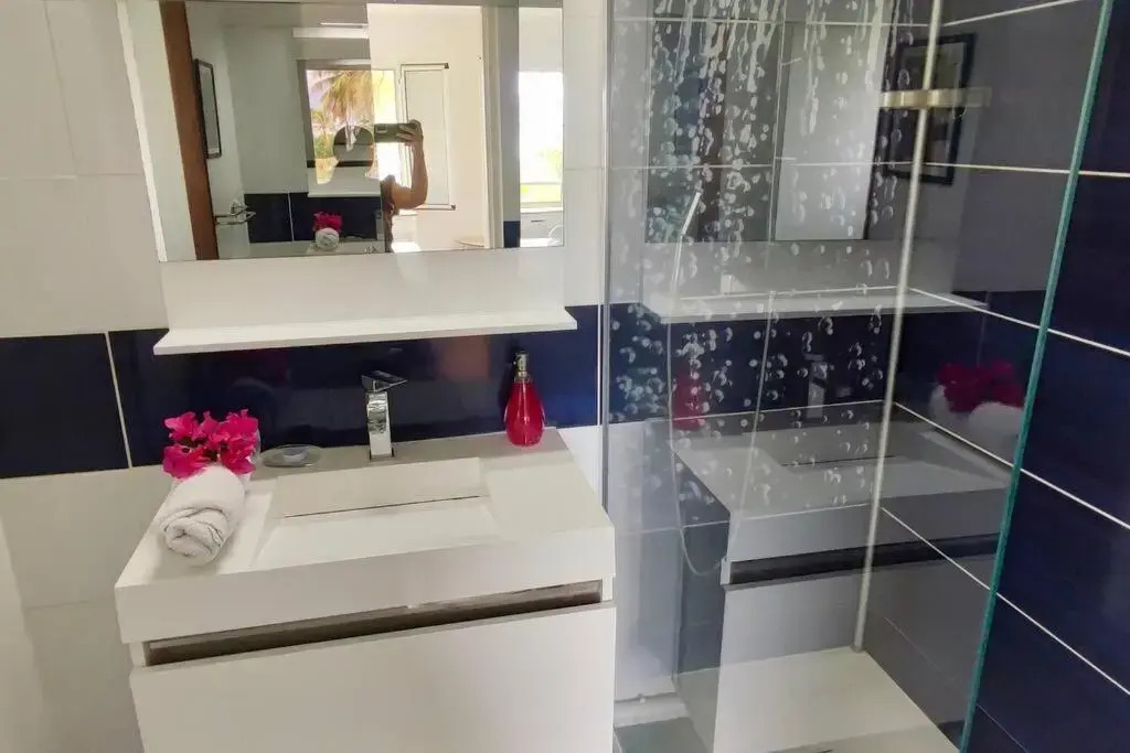 Ti Punch Appartement pied dans l'eau avec piscine