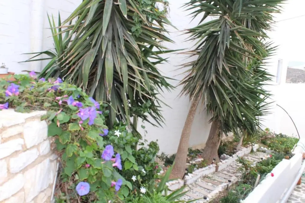Studios Athina
