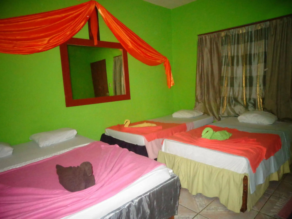 Cabinas Tortuguero Natural