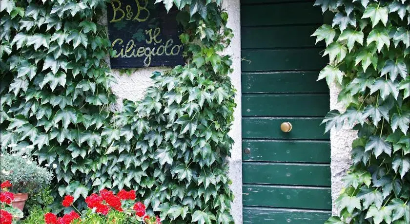 Il Ciliegiolo