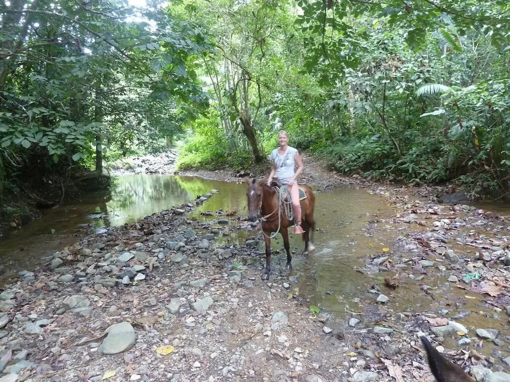 Finca El Regalo