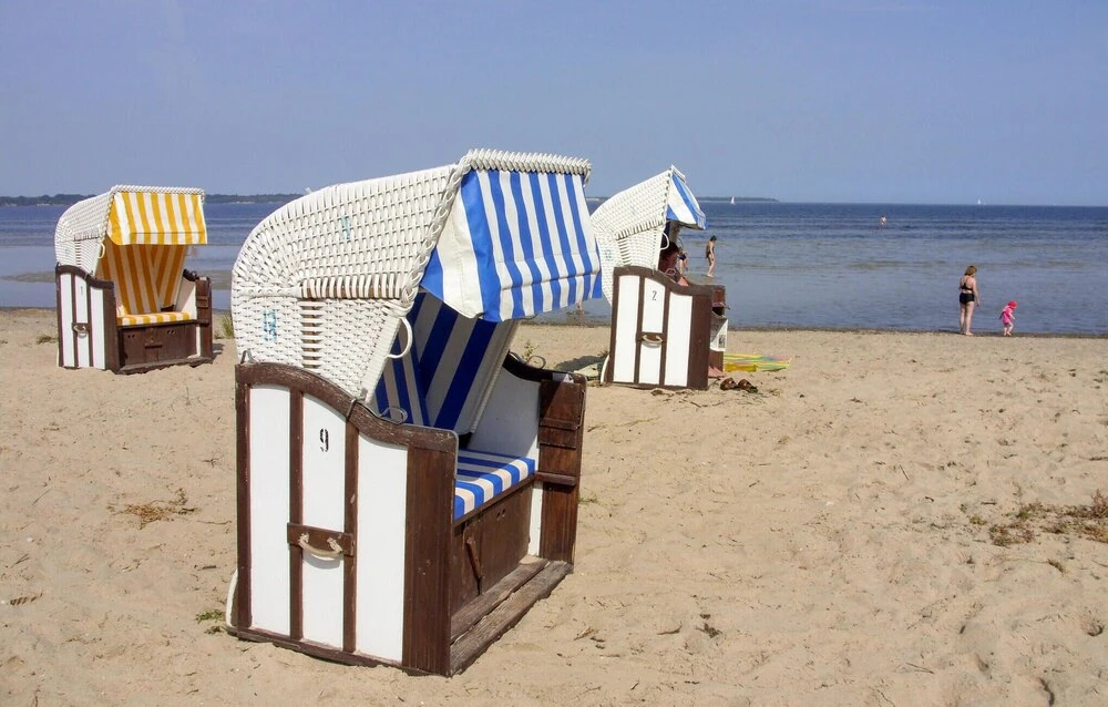 Küstenseeschwalbe