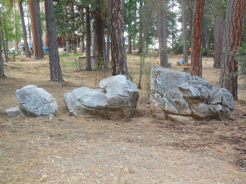 Yosemite Paradise Inn