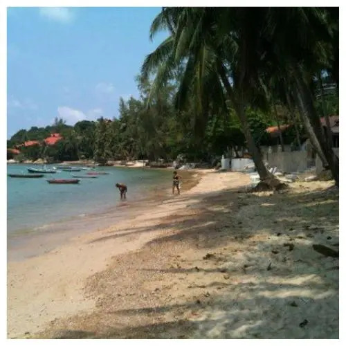 Jungle Hut Bungalows & Hotel