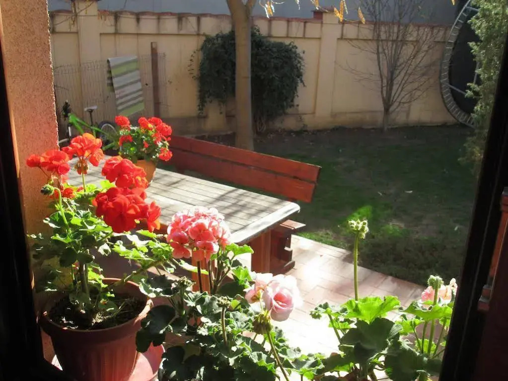 Swallows' Hostel