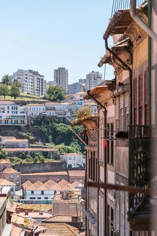 Oporto Downtown View Apartment