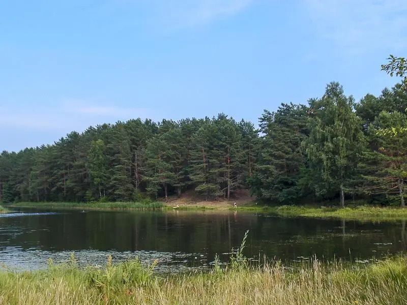 Romantic Attic Apartment Druskininkai
