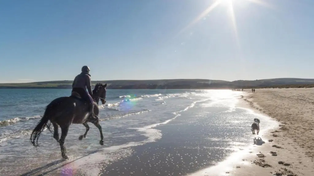Seascapes, Sandbanks