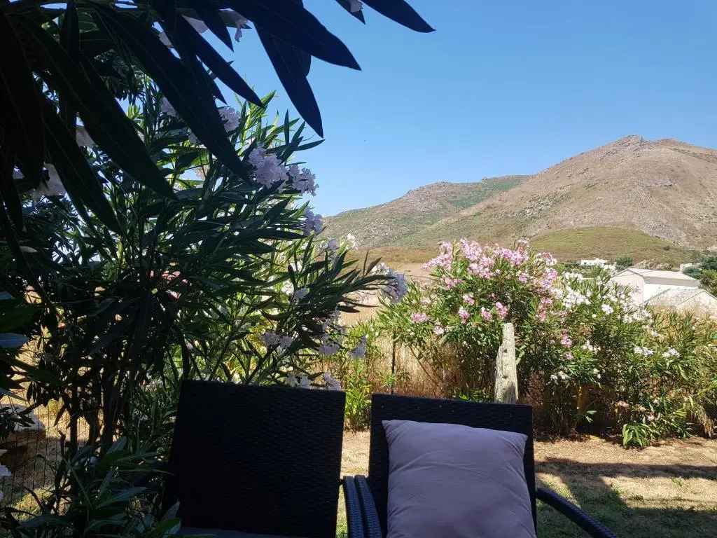 t2 de 45m² haute corse jardin et piscine